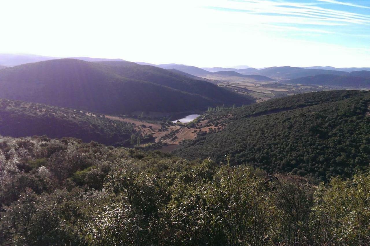 Villa El Gallo Los Cortijos ภายนอก รูปภาพ