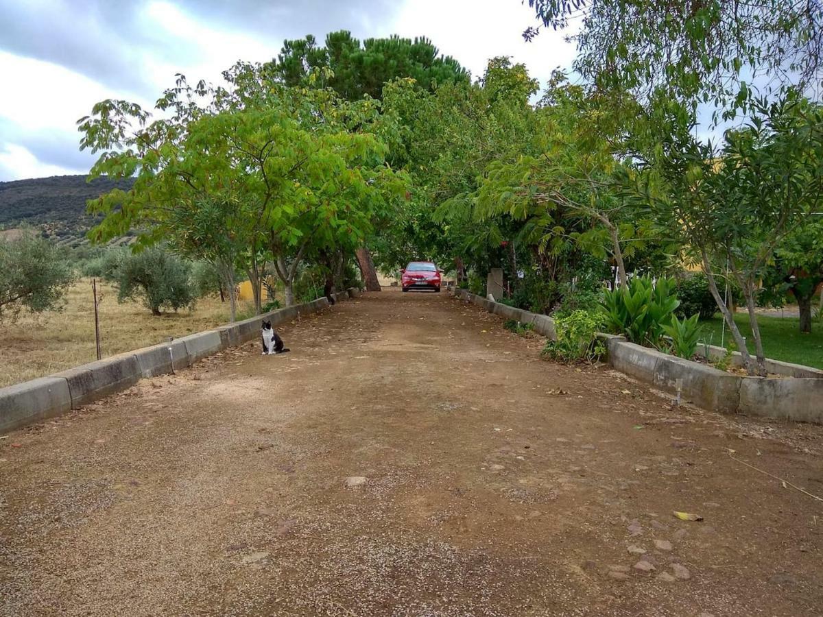 Villa El Gallo Los Cortijos ภายนอก รูปภาพ
