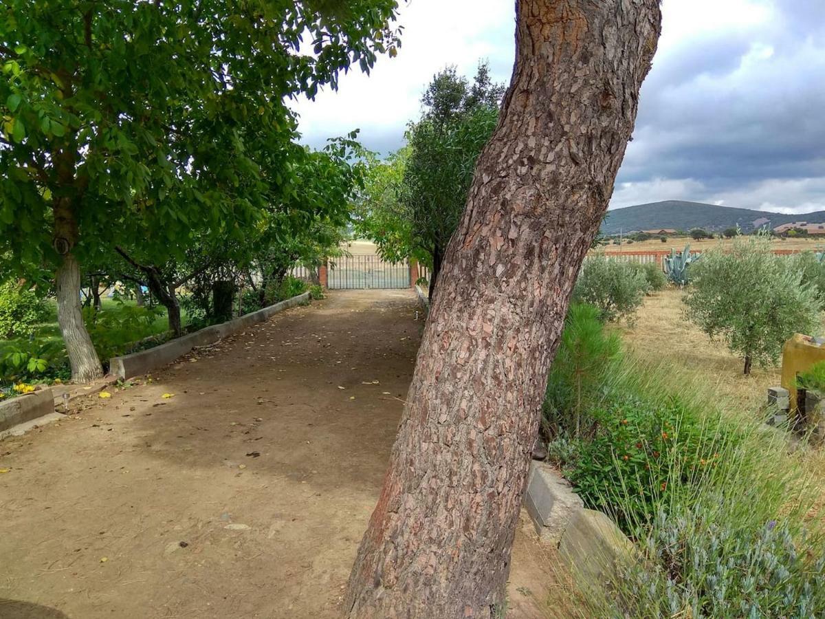 Villa El Gallo Los Cortijos ภายนอก รูปภาพ